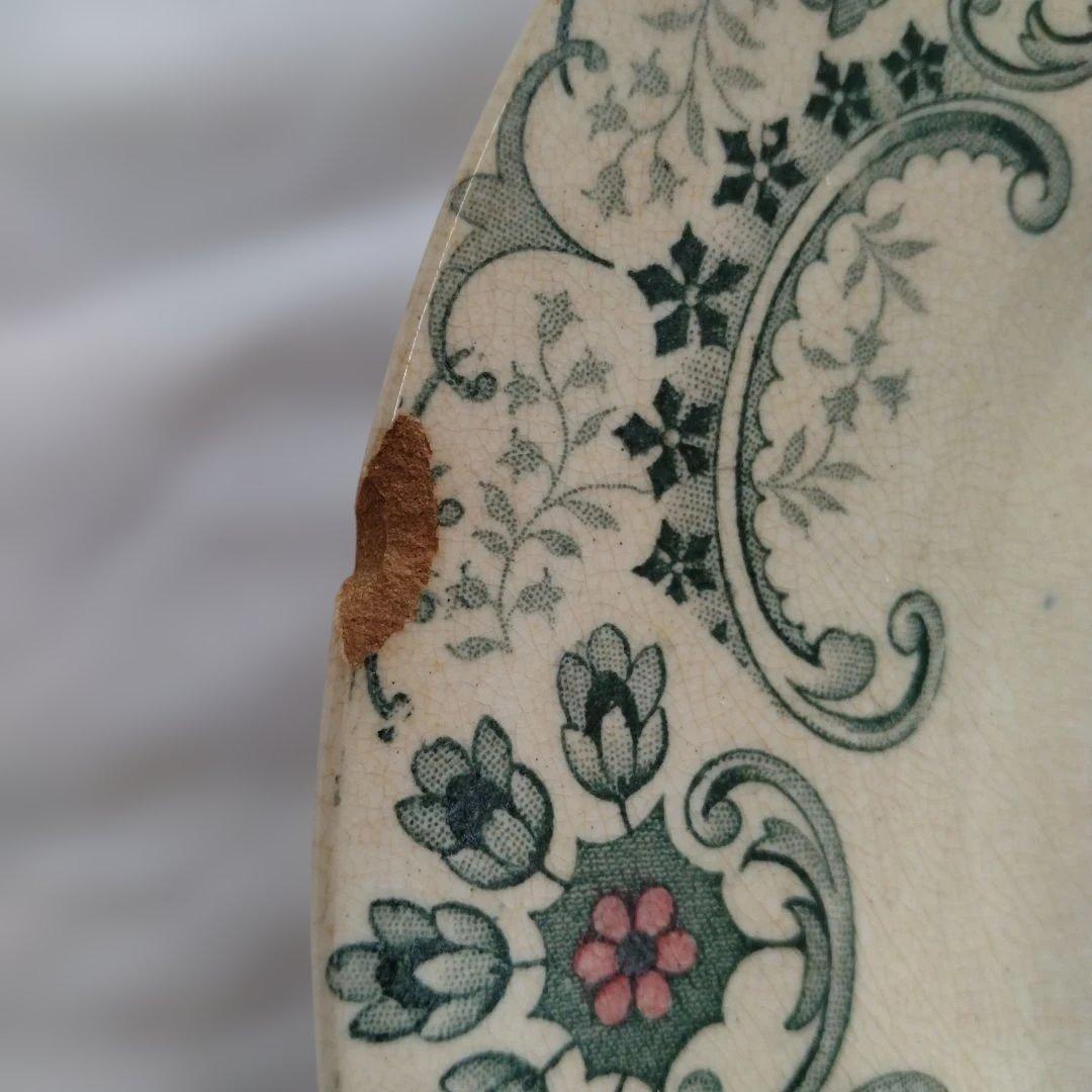 ライン他あり・ショワジールロワプレート・切り花/フランス