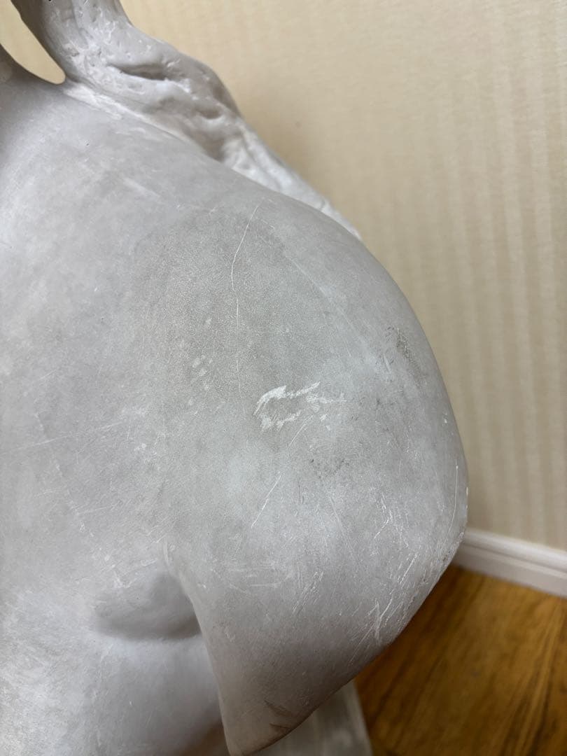 石膏像 カピトリーノのヴィーナス胸像(カッパ) 大型 - メルカリ