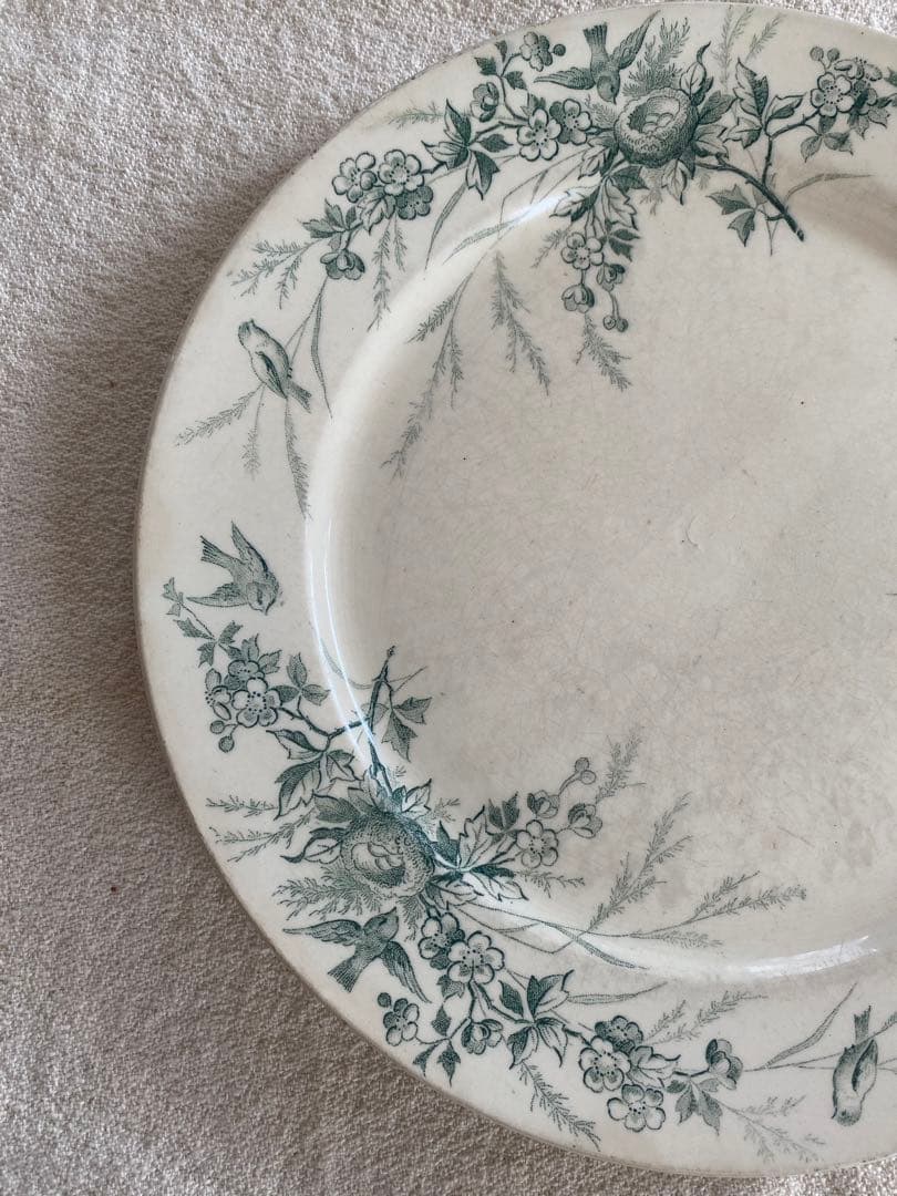 アンティーク クレイユモントロー LINOTTE グリーン プレート - 食器