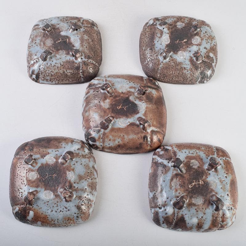 和食器　美土里窯　鼠志野　草文　向付　五客　共箱　M　R9246B