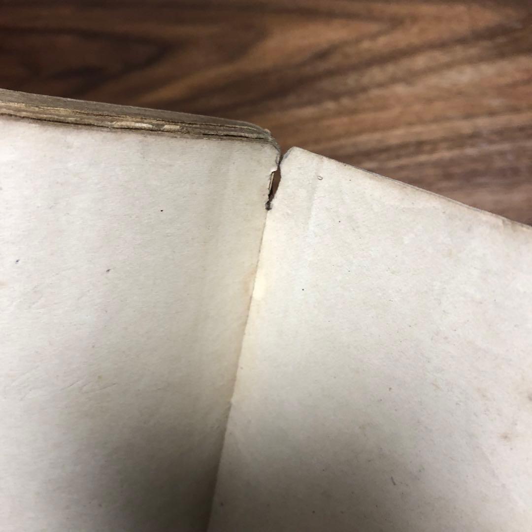 モーリス・ルブラン 二重眼鏡の秘密 近代世界快著叢書 福岡雄川訳 大正