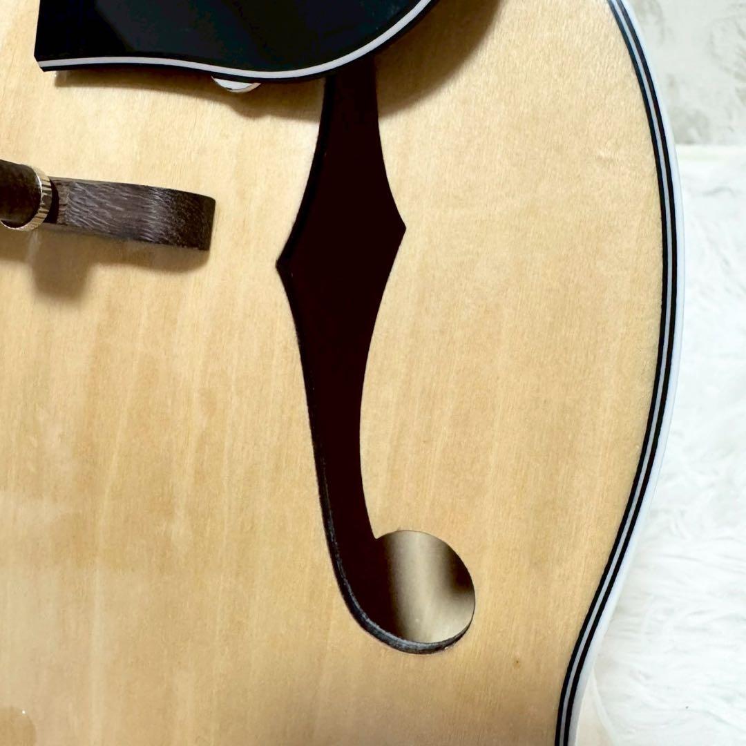 希少美品』Mylowe フラットマンドリン ハードケース付き - メルカリ