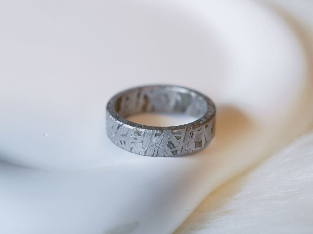 【宇宙の指輪】アルタイ隕石リング 原色　19.0mm ウィドマンシュテッテン模様