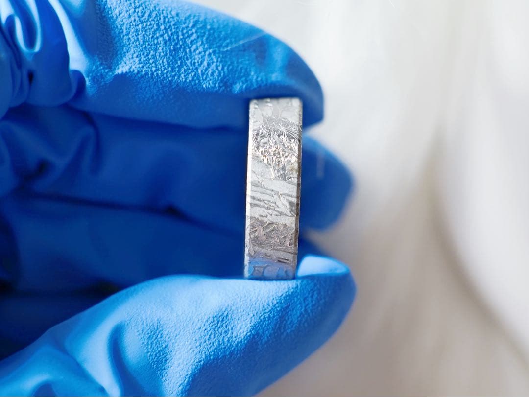 【宇宙の指輪】アルタイ隕石リング 原色　19.0mm ウィドマンシュテッテン模様