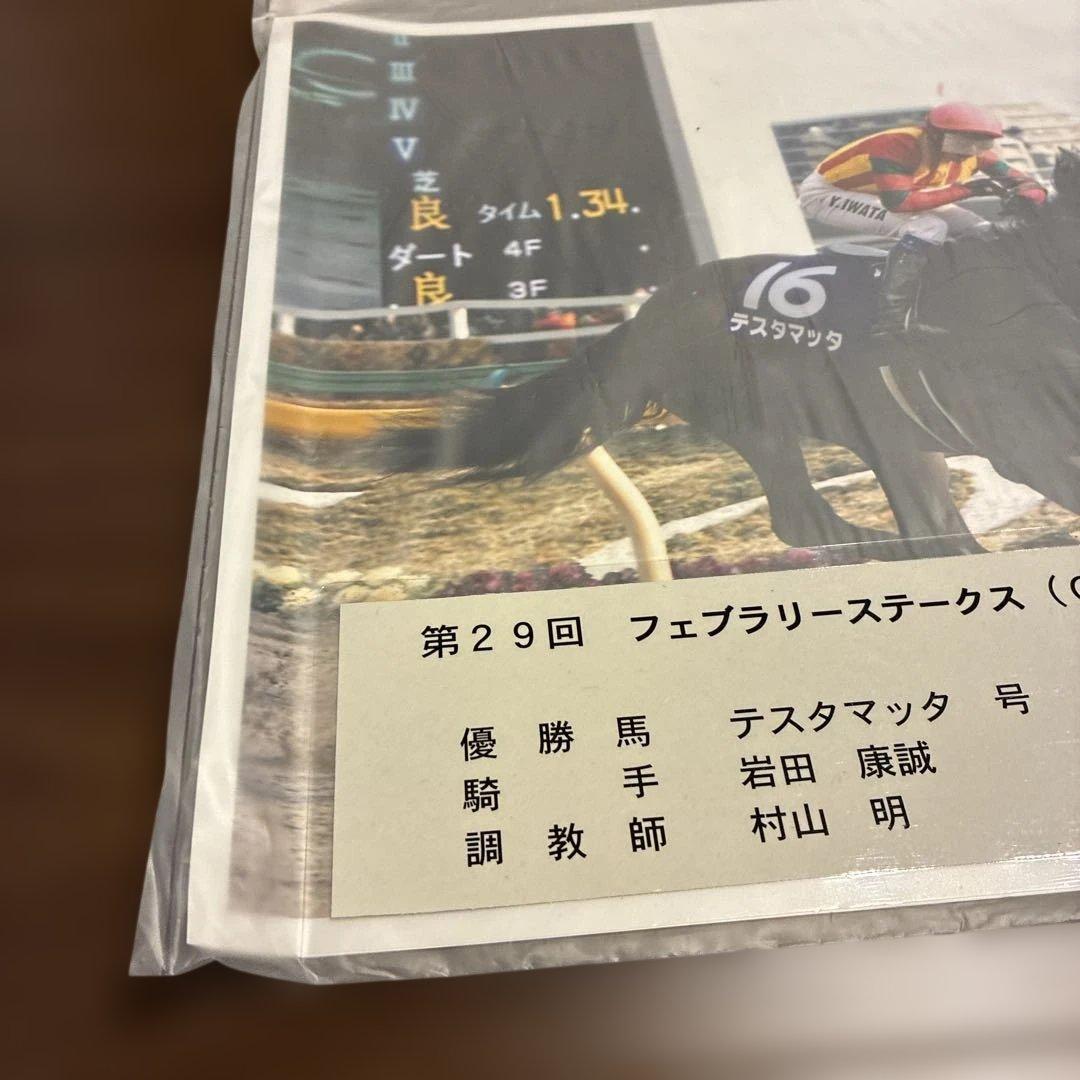 第29回フェブラリーステークス 記念印刷物　テスタマッタ