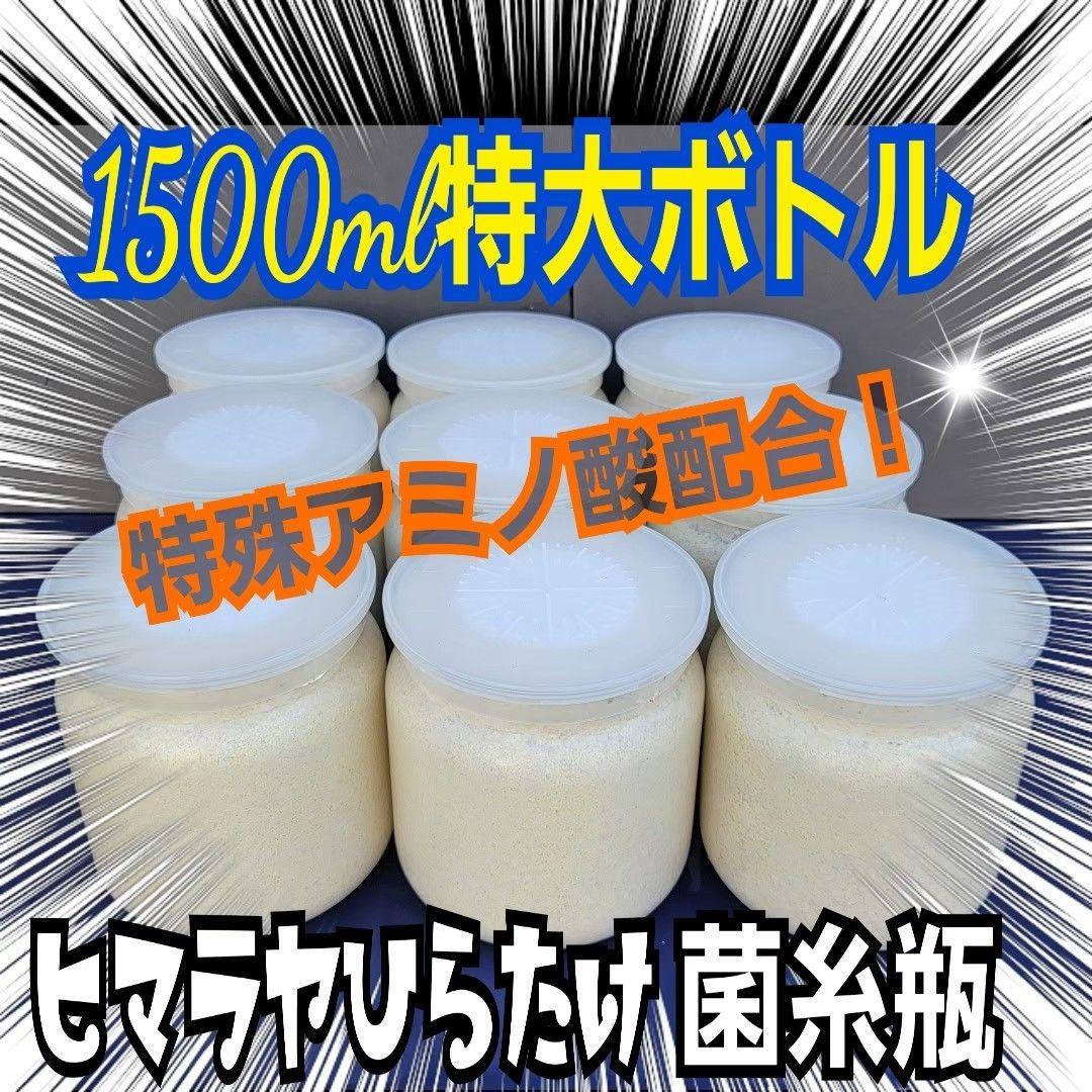 極上！ヒマラヤひらたけ菌糸瓶1500ml【7本】トレハロース、キトサン強化配合！ 極上！ヒマラヤひらたけ菌糸瓶1500ml【7本】トレハロース、キトサン