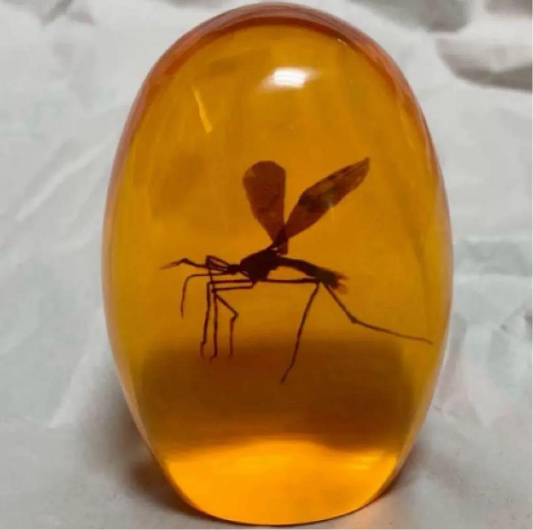 輸入品】映画『ジュラシック・パーク』琥珀の蚊のレプリカを模した