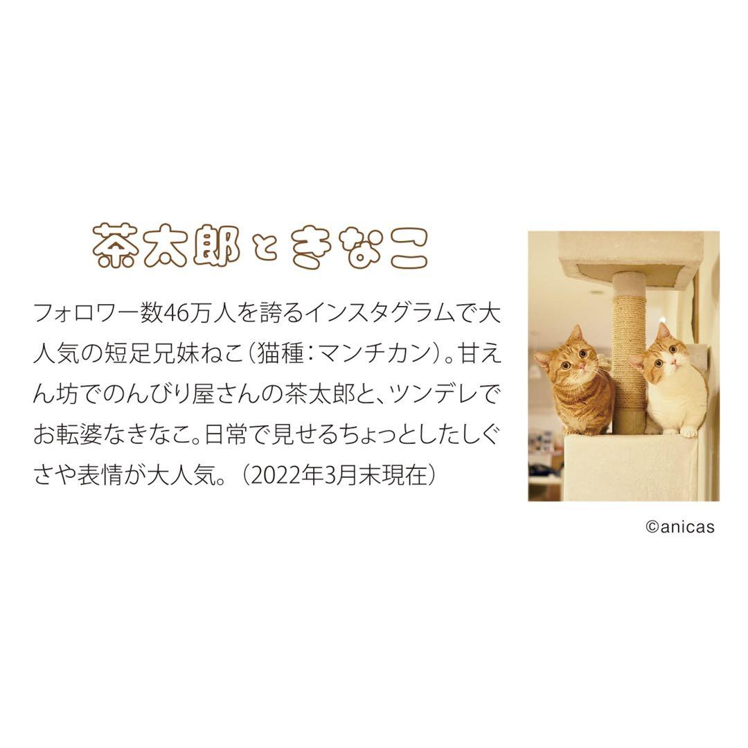 2023年 茶太郎ときなこ 壁掛け カレンダー - メルカリ