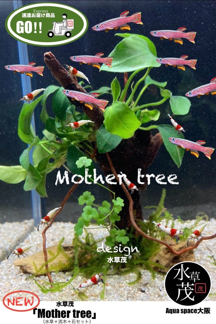 水草 YVB-Y'sVintage Base 水草 YVB-Y'sVintage Base 水草 YVB-Y'sVintage Base Vintage Japanese