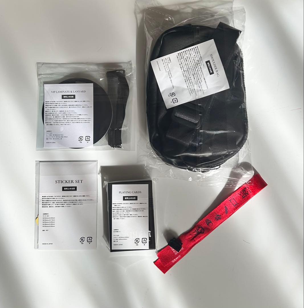 Lady Gaga 2026 VIP SILVER 限定グッズ ✨️新品・未開封 - メルカリ