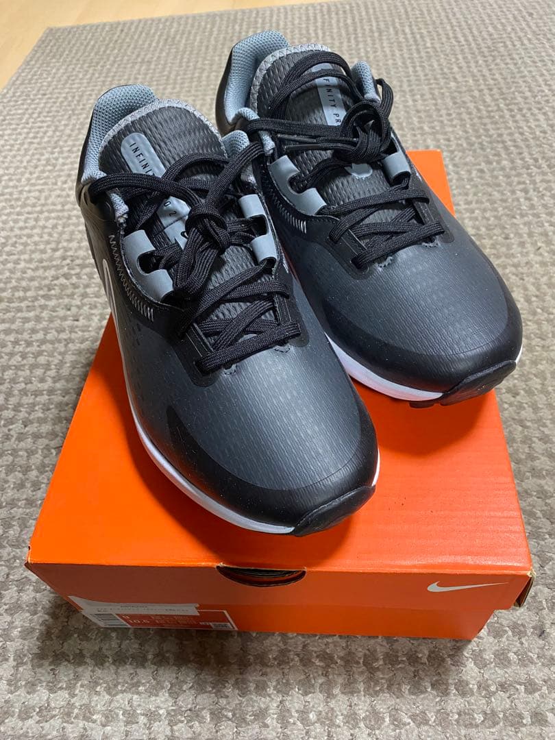 トウガタカワニナ 淡水貝 貝殻 標本