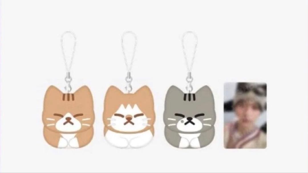 Stray kids リノ スンドゥンドリ 未開封 メンプロ