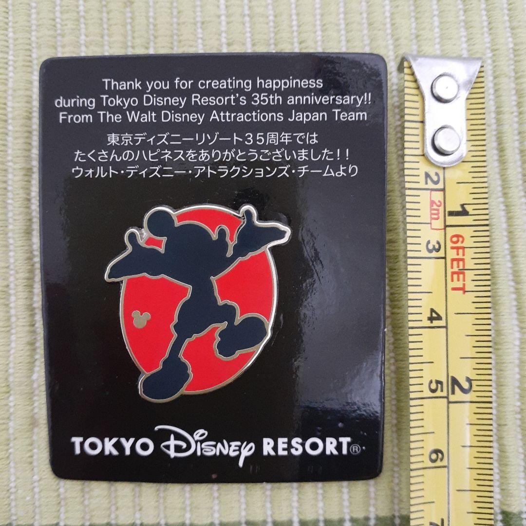 ディズニー　ピンバッジ　35周年　アトラクション　キャスト　ミッキー　限定　レア