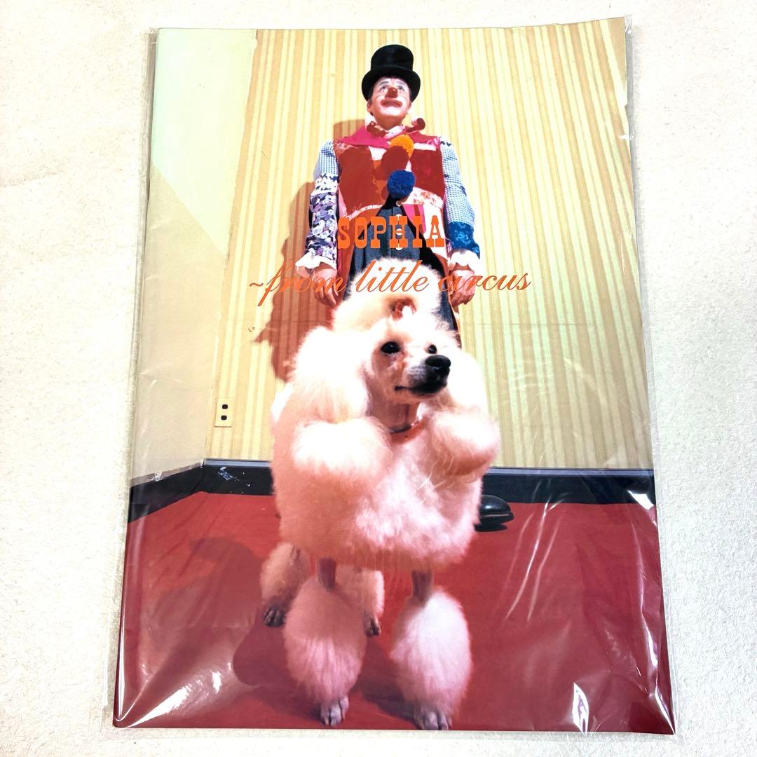 【おまとめ】SOPHIA ツアーパンフレット 写真集 ポストカードブック