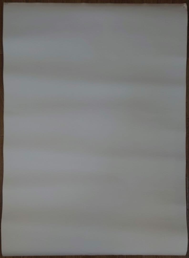 【非売品】カプコン ヴァンパイア B1ポスター