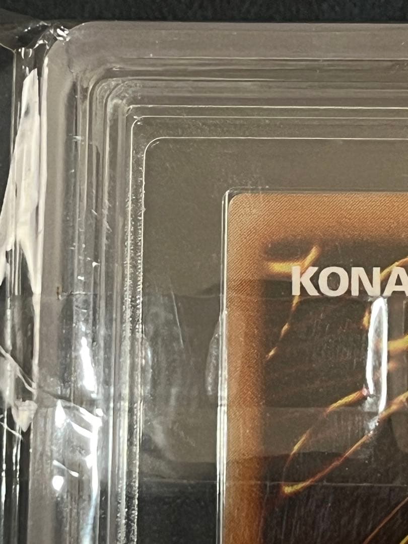 真紅眼の黒竜 レリーフ ARS9 鑑定書なし