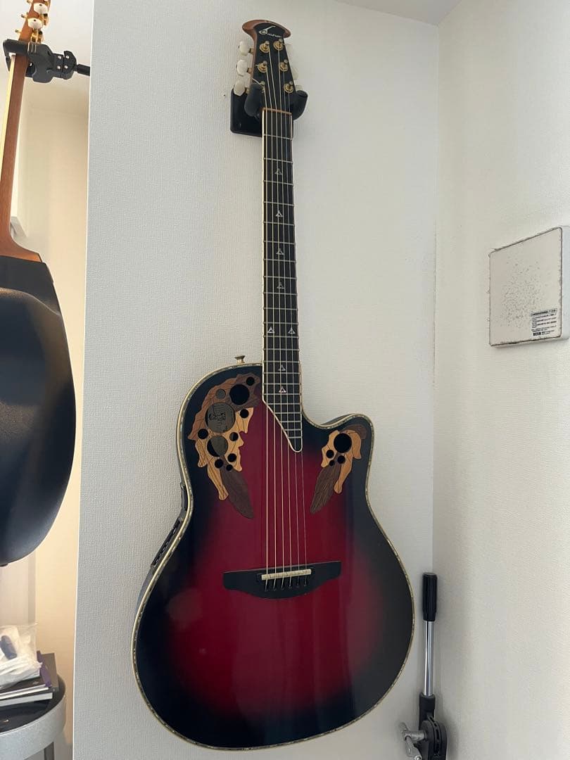 数量限定 Bill Lawrence BY1R-60G 五十嵐 美貴シグニチャーモデル