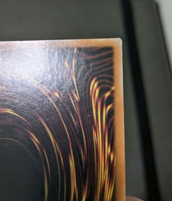 遊戯王、繁体字、中国版、偽骸神龍、ハートアースドラゴン、シク