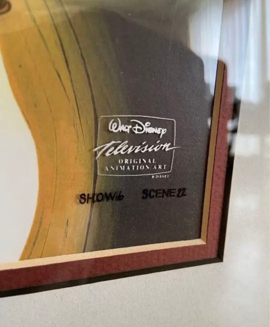 ディズニー　アラジン　セル画　レア　ディズニーランド　TDL