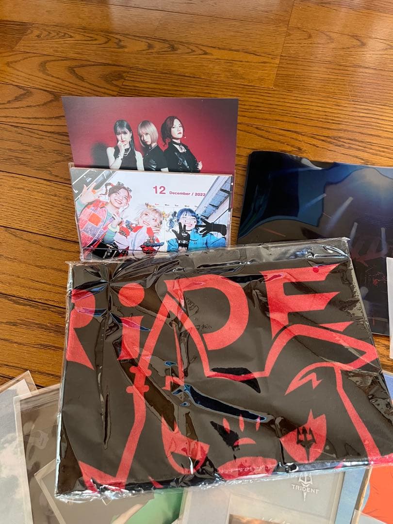 TRIDENT ガールズロックバンド革命 トライデントCD初回限定