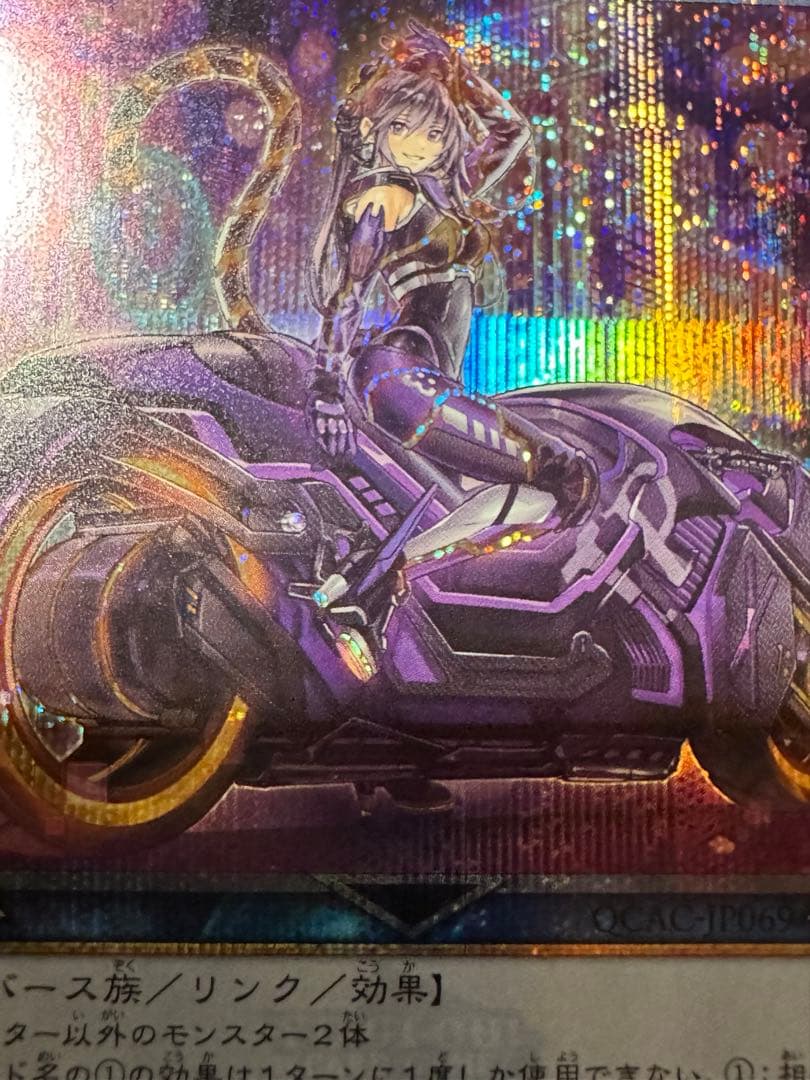 v*様 遊戯王25th アイピーマスカレーナ絵違いクオシク＋アイピーマスカレーナ