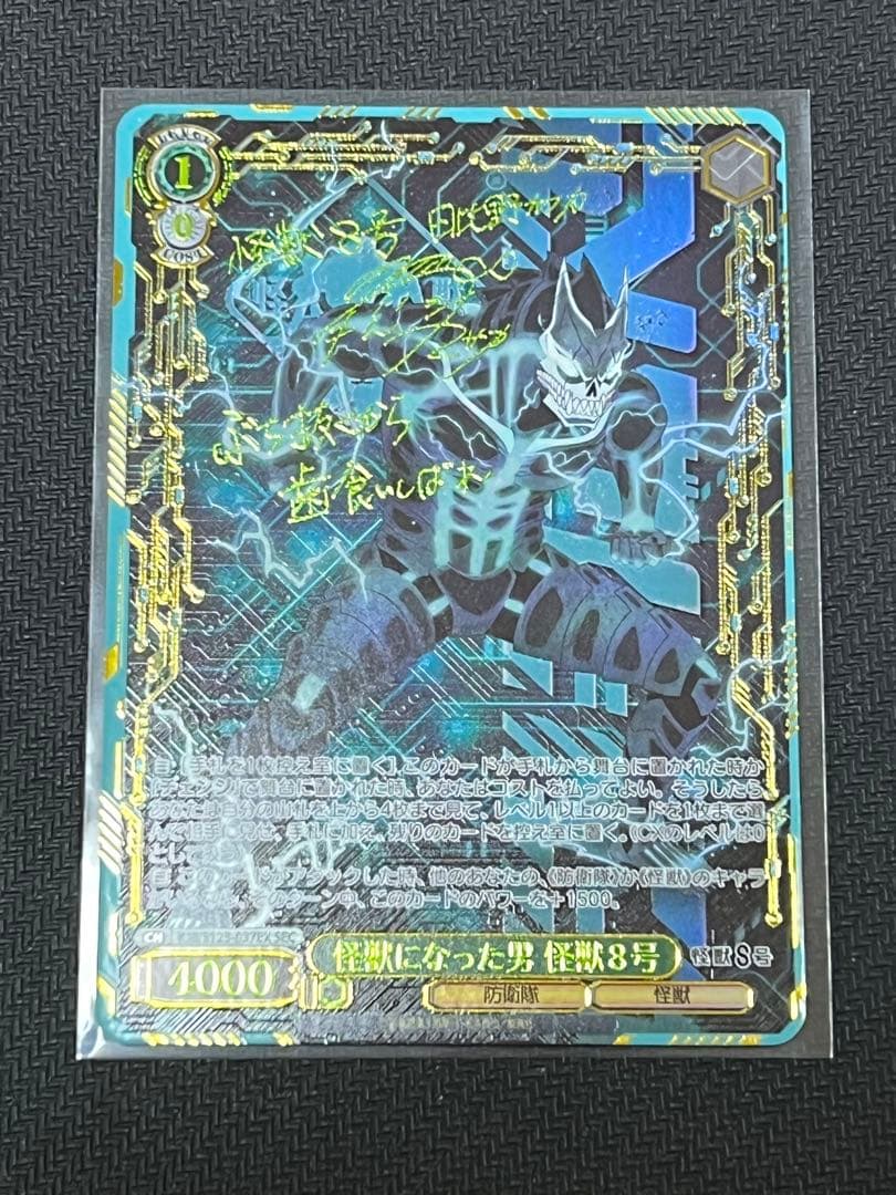 ヴァイス 怪獣8号 SEC 怪獣になった男 怪獣になった男 怪獣8号 sec ヴァイスシュヴァルツ 怪獣8号 怪獣になっ