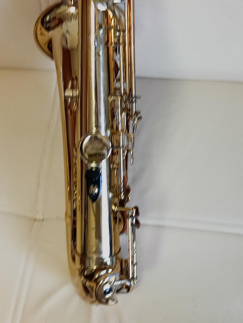 ヤナギサワテナーサックスT-50