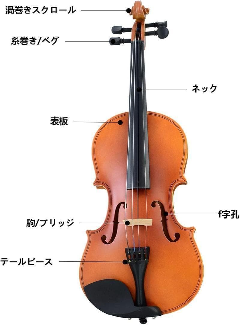 M2247-121-86】バイオリン 3/4 初心者セット ヴァイオリン 弓2本