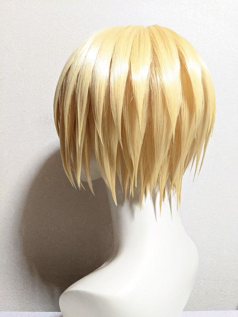 【ネット付】✥クラピカ ウィッグ✥セット済 HUNTER×HUNTE