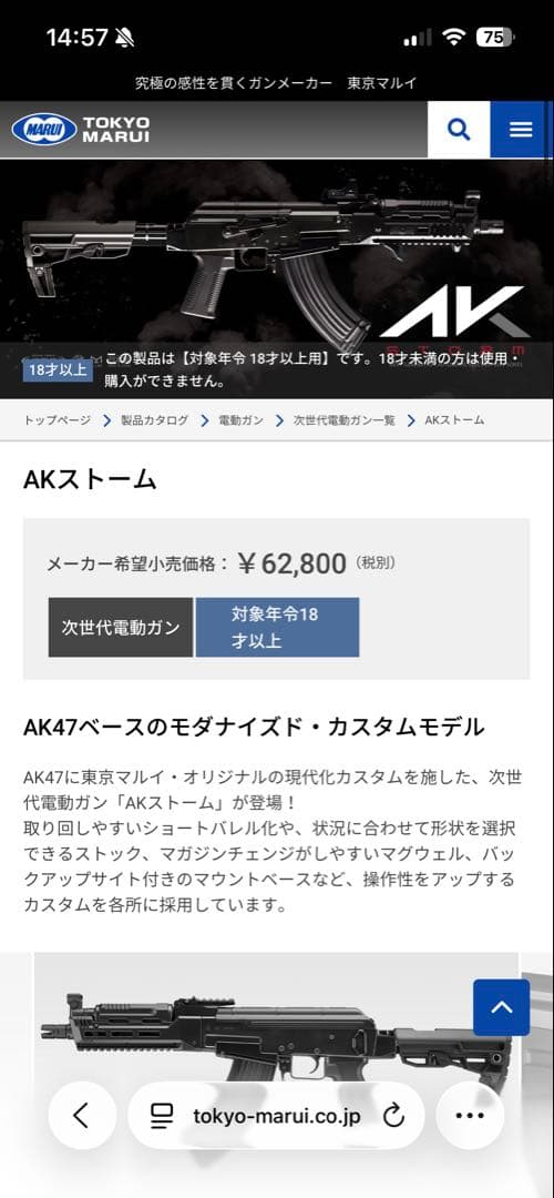 東京マルイ AK ストーム 次世代電動ガン