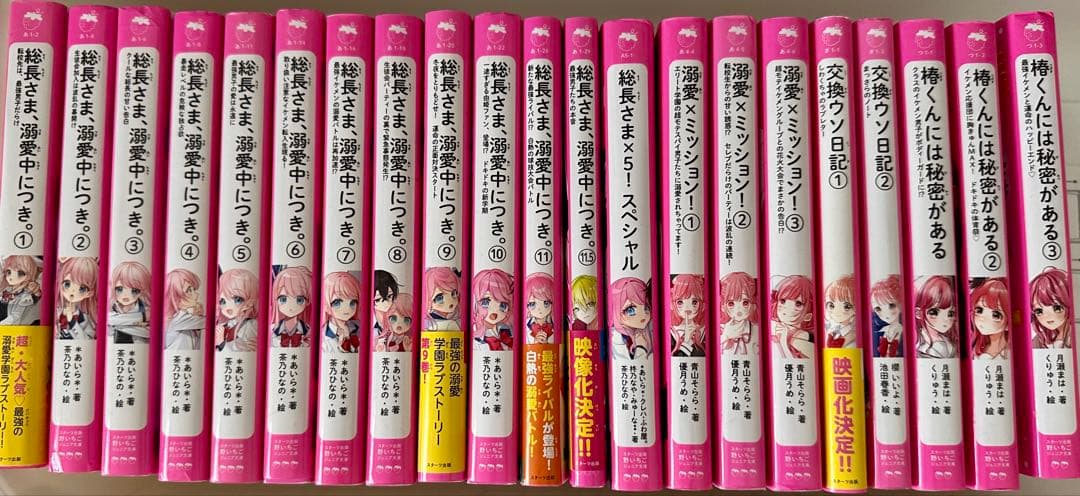 野いちごジュニア文庫⭐︎溺愛⭐︎総長さま⭐︎ふたごシリーズなど41冊セット‼︎