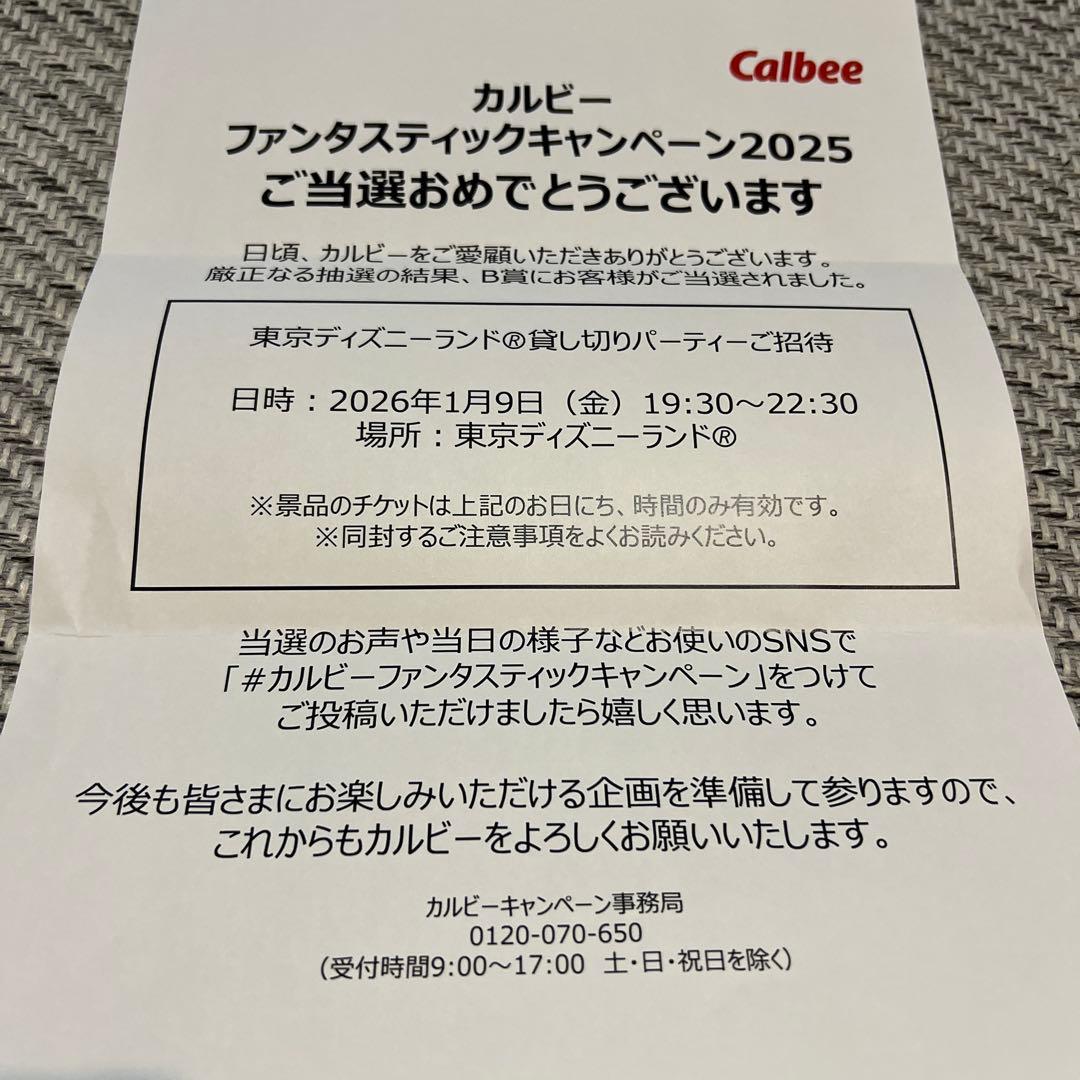✴︎緊急値下げ✴︎ディズニーランド 貸切2025 JCB マジカルクリスマス 2025 東京ディズニーランド貸切招待券 4枚（24