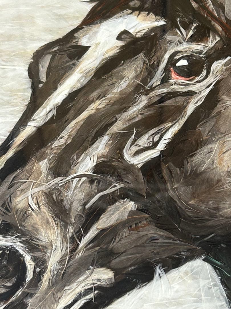 【美術品】鳥の羽根で描かれた馬