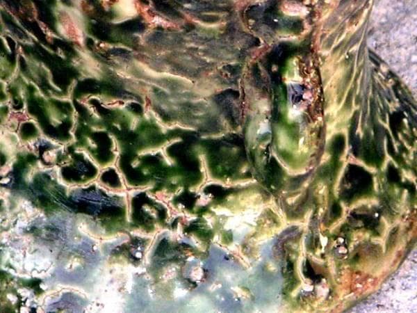 ♥時代♥　織部　♥双耳♥　花器　花瓶　骨董　古玩