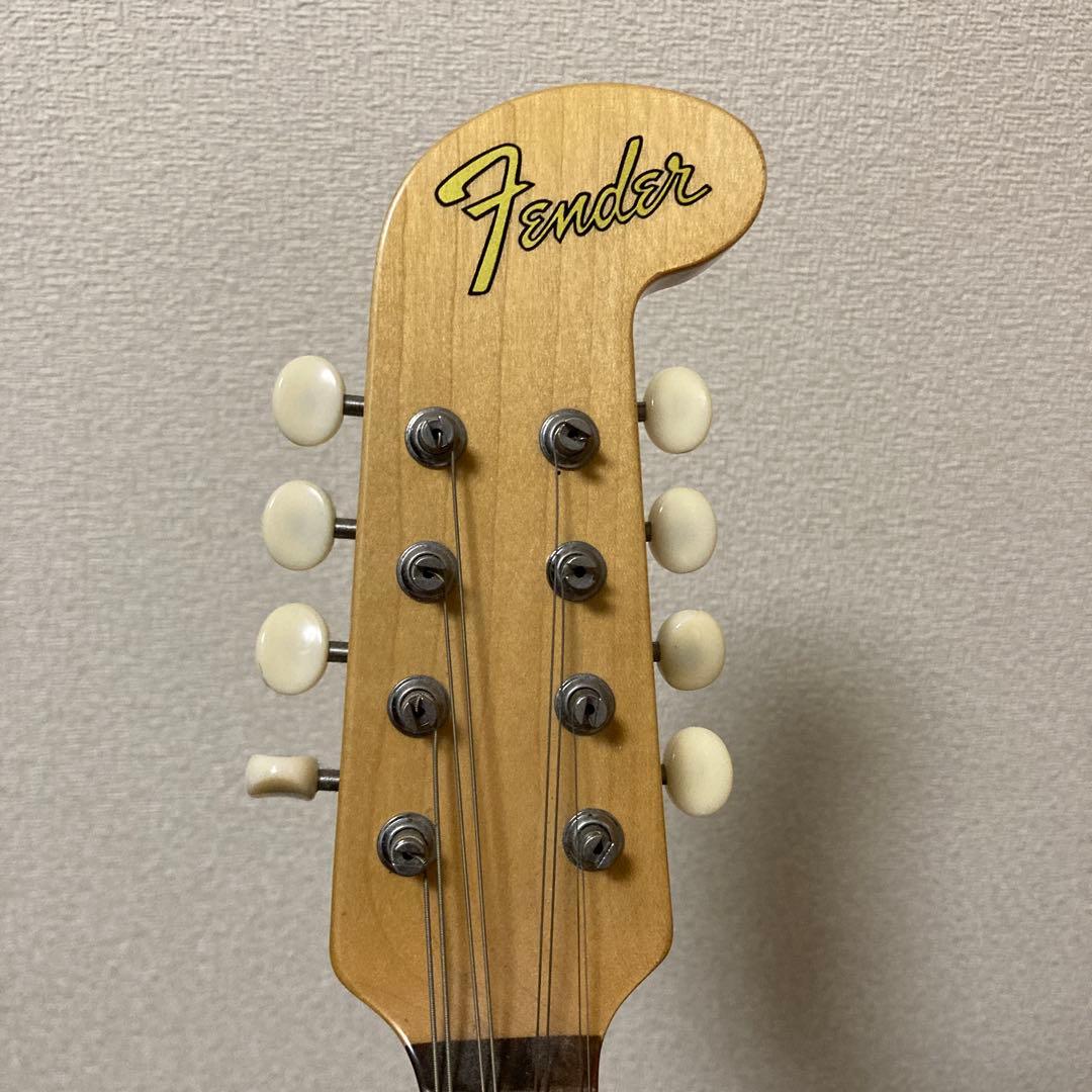 弦楽器 fender mando strat mandocaster