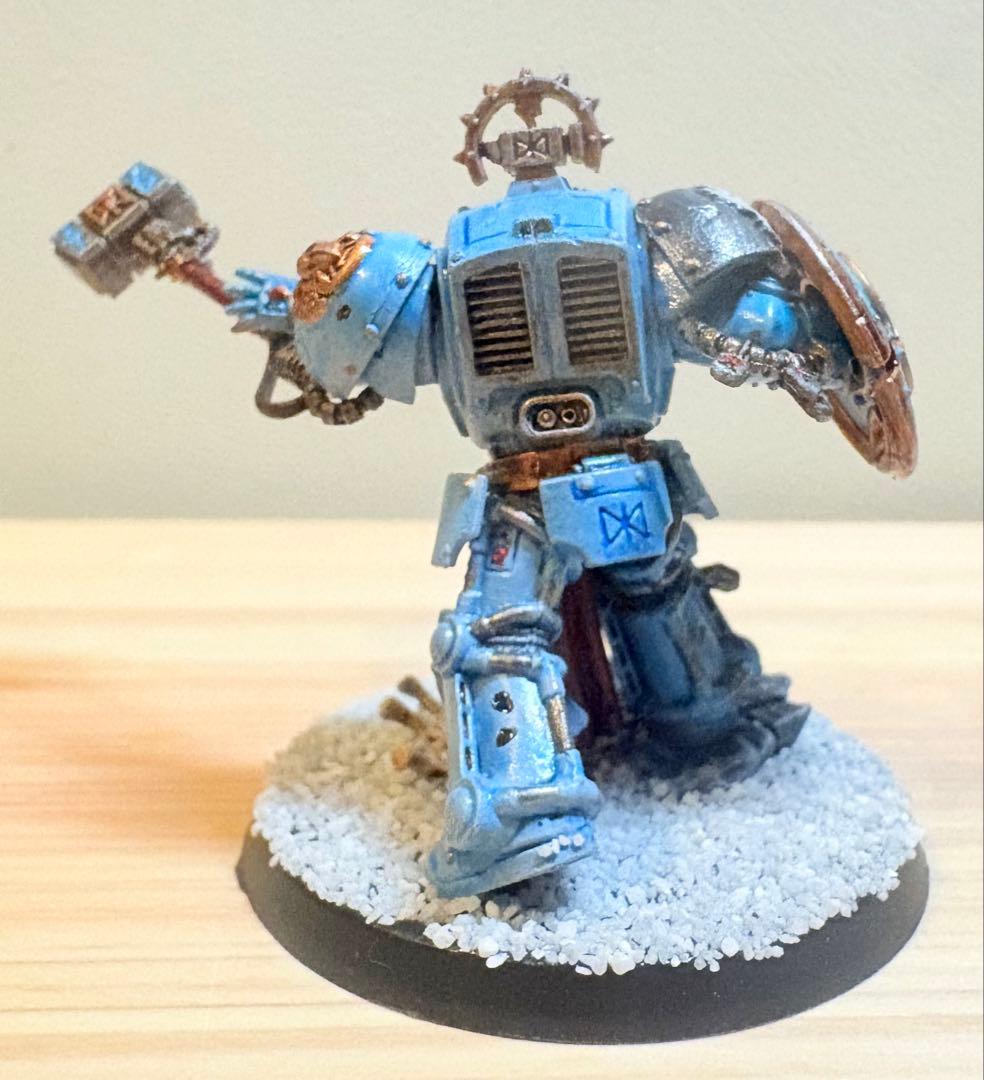 A*k様 Warhammer 40k スペースウルフ 3種 塗装済み完成品ハイグ