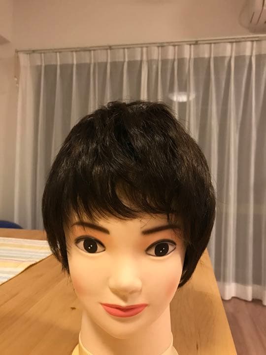 ウィッグ（人毛）12万円　ネット付き（未使用）