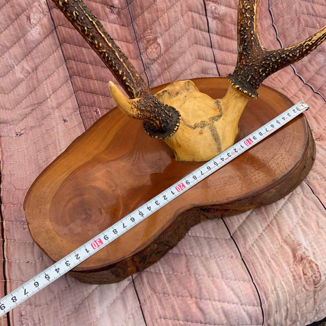 刀掛け　日本刀　模造刀