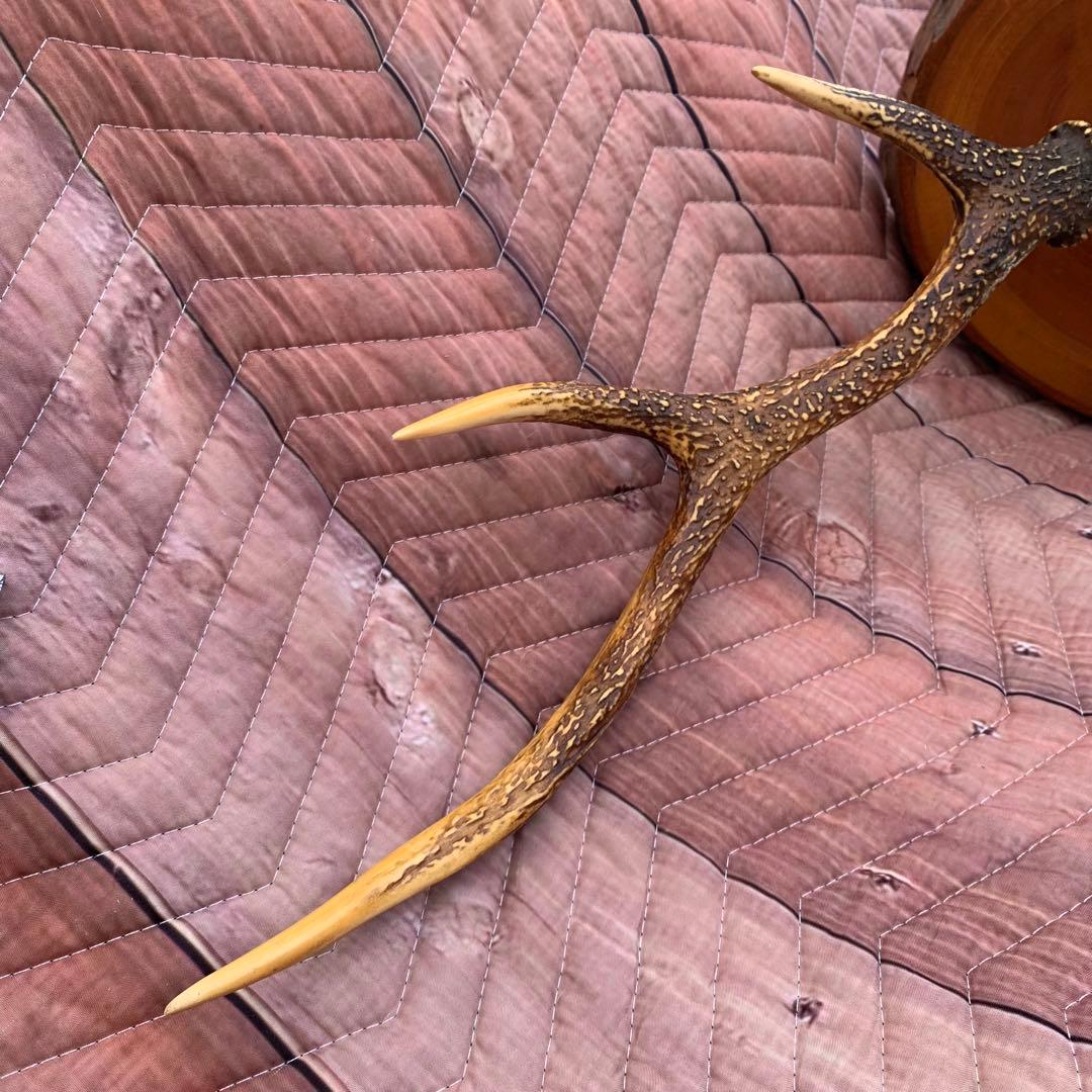 刀掛け　日本刀　模造刀