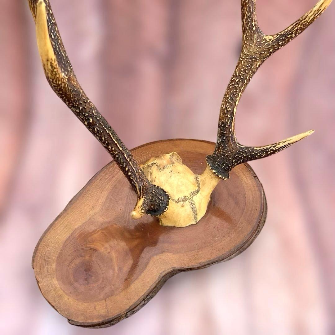 刀掛け　日本刀　模造刀