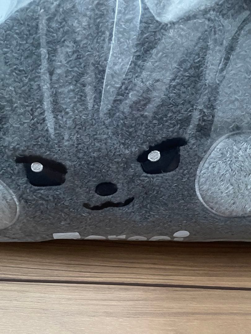 ZEROBASEONE zeroni ウンニニ woongniniブランケット - メルカリ