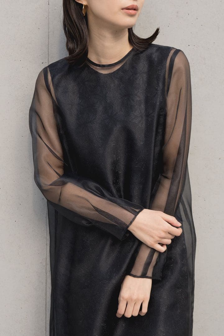 ＊美品＊kaene シアーレイヤードオールインワン