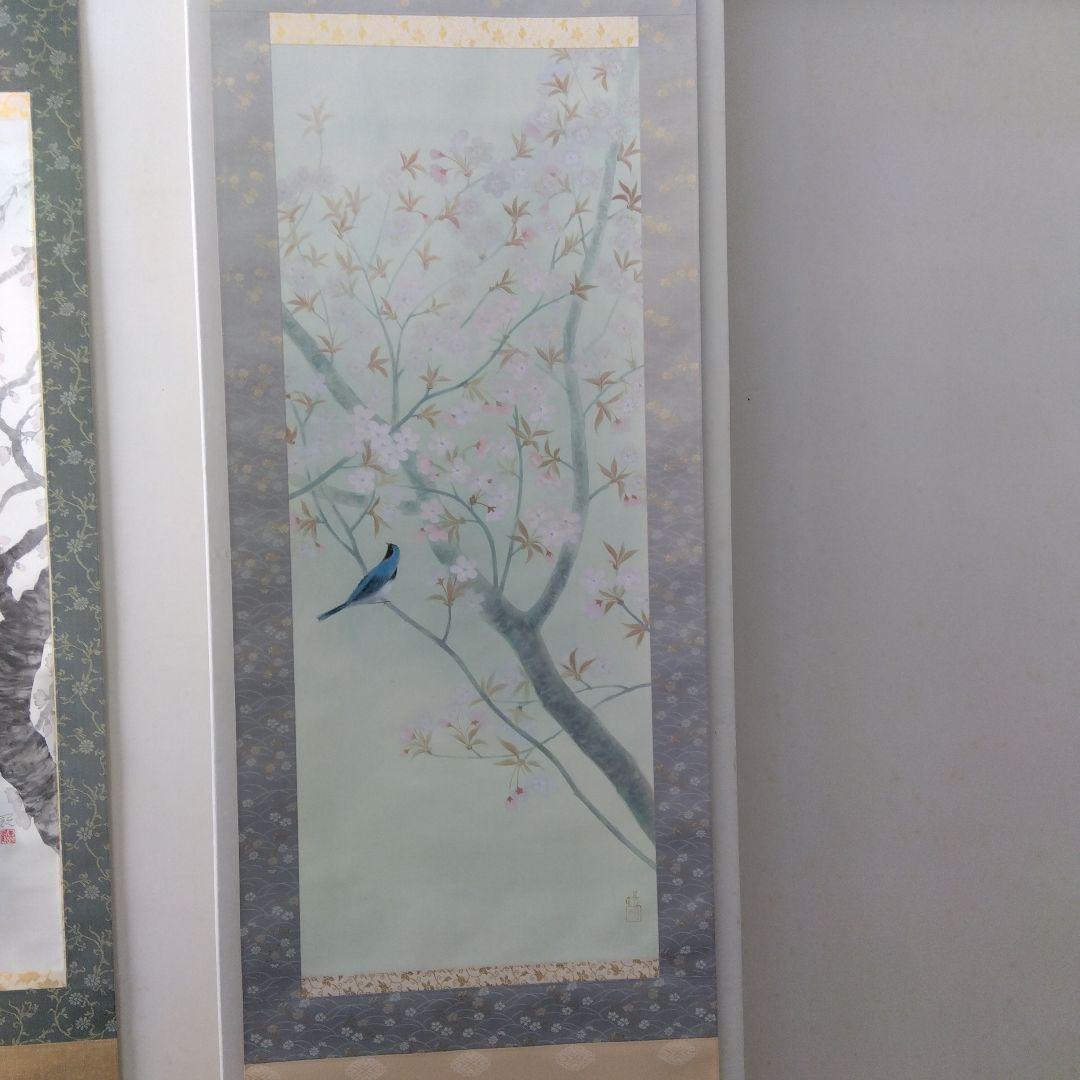 掛け軸　桜と鳥　春　樋口暘