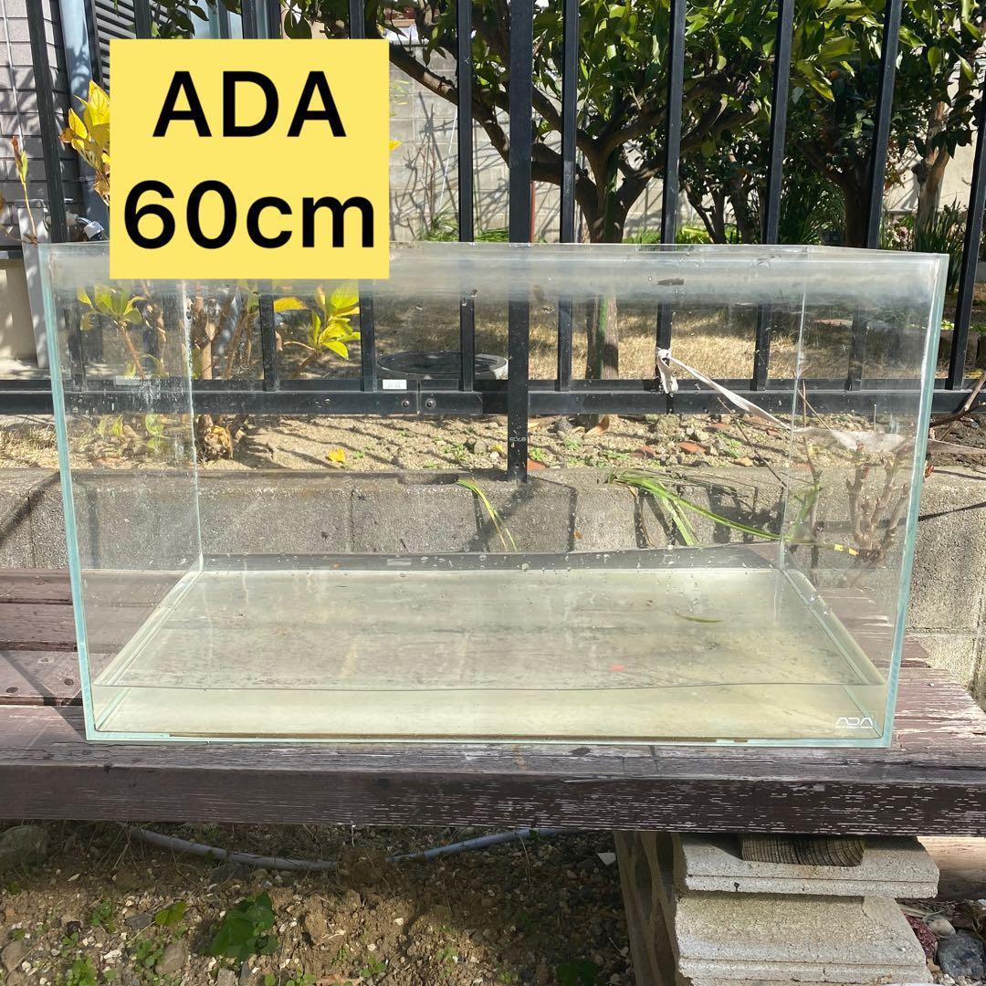 ADA ガラス水槽 水槽 ガラス 60cm 600 大阪 - メルカリ