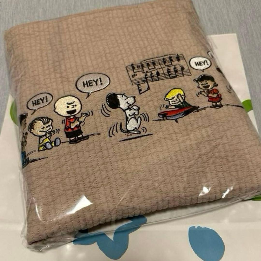 ポアロ社 スヌーピー ピアノリサイタル 315ピース パズル 71GoUYnUx6L