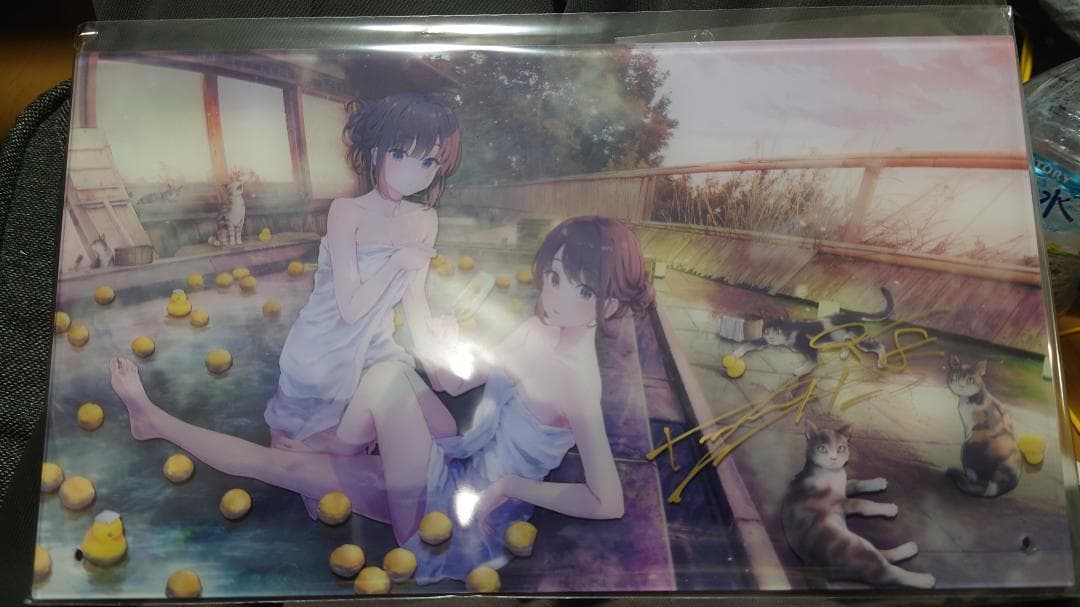 C105 vividcolor ぽんかん⑧ 直筆サイン入り アクリルボード C105 vividcolor ぽんかん⑧ 直筆サイン入り アクリルボード 2枚セット