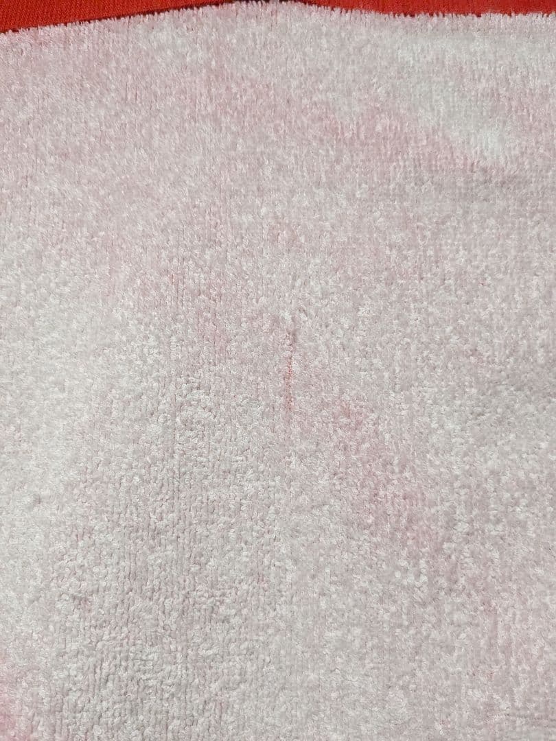 美品　STUSSY　ラスタ　ビーチタオル　レゲエ　　MIGHTY CROWN