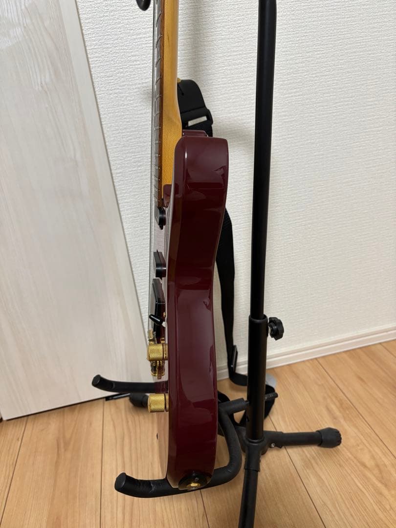 エレキギター FERNANDES ギターケース付き