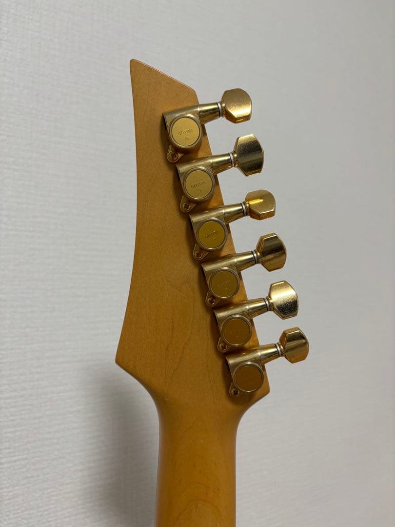 エレキギター FERNANDES ギターケース付き