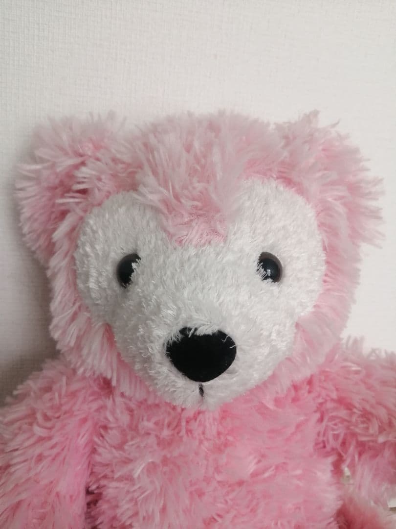 WDW ダッフィー ディズニー ピンク　Disney land sea